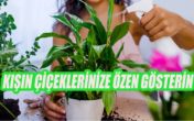 KIŞIN ÇİÇEK BAKIMINDA DİKKAT EDİLMESİ GEREKENLER