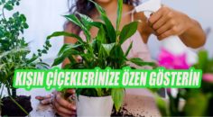 KIŞIN ÇİÇEK BAKIMINDA DİKKAT EDİLMESİ GEREKENLER