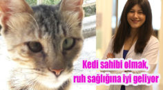 RUH SAĞLIĞI İÇİN KEDİ…
