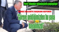 İlk fideler halkla paylaşıldı