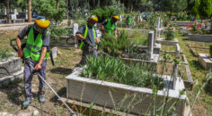 Büyükşehir, mezarlıkları temizliyor
