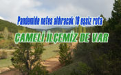 OGM pandemi sonrası ekoturizme odaklandı