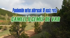 OGM pandemi sonrası ekoturizme odaklandı