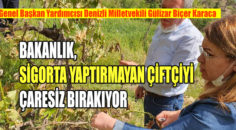 Karaca; ‘Denizli’de don ve dolu felaketinin bilançosu ağır.’ dedi.