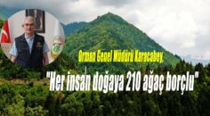 2 olgun ağaç 4 kişilik bir ailenin yıllık oksijen ihtiyacını karşılıyor