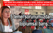Gülizar Biçer Karaca, CHP’nin barış ve insan hakları konusundaki temel prensiplerini anlattı