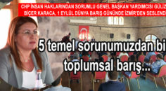 Gülizar Biçer Karaca, CHP’nin barış ve insan hakları konusundaki temel prensiplerini anlattı