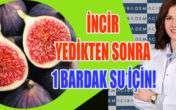 İncirin son demleri! Sağlıklı incir tatlısı tarifi ile…