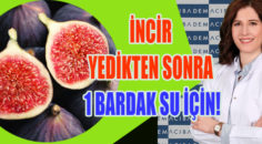 İncirin son demleri! Sağlıklı incir tatlısı tarifi ile…