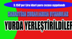 YALAN BEYANDA BULUNAN VATANDAŞLARA CEZA UYGULANDI