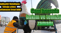 Kentin simgesi dev cam horoz heykelinde bakım ve temizlik çalışması