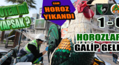 Yukatel Denizlispor evnde Aytemiz Alanyaspor’u  1-0 yendi