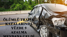 2020 yılı trafik istatistiklerinin birçok kategorisinde azalma görüldü.