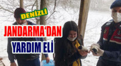 KARDA MAHSUR KALAN KÖPEKLERE JANDARMA YARDIM ELİNİ UZATTI