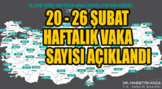 İllerin haftalık vaka sayıları