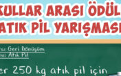 BİTEN PİLLERİ ATMAYALIM