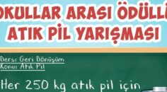 BİTEN PİLLERİ ATMAYALIM