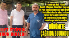 Bakanlık sektöre yönelik sübvansiyonları artırmalıdır