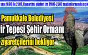 PAMUKKALE BELEDİYESİ SEYİR TEPESİ ŞEHİR ORMANI AÇILDI