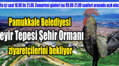 PAMUKKALE BELEDİYESİ SEYİR TEPESİ ŞEHİR ORMANI AÇILDI