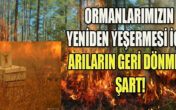 Ekosistemin devamlılığı için önemli rol oynayan arıların yok olması….