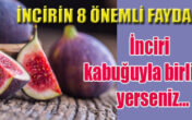 Kabuğunu sakın soymayın, çünkü…