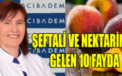 Şimdi şeftali reçeli zamanı! ŞEFTALİ VE NEKTARİNLE GELEN 10 FAYDA