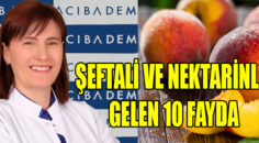 Şimdi şeftali reçeli zamanı! ŞEFTALİ VE NEKTARİNLE GELEN 10 FAYDA