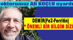 DEMİR(Fe2-Ferritin)  “ ÖNEMLİ BİR BİLGİM SİZE “
