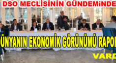 DSO MECLİSİNİN GÜNDEMİ DÜNYANIN EKONOMİK GÖRÜNÜMÜ RAPORU OLDU