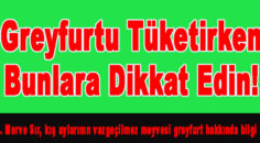 VİTAMİN DEPOSU GREYFURTU TÜKETİRKEN BUNLARA DİKKAT EDİN!