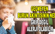 Geçmeyen Burun Akıntısının Nedeni….