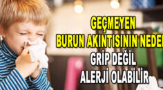Geçmeyen Burun Akıntısının Nedeni….