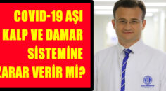 COVID-19 Aşı Kalp ve Damar Sistemine Zarar Verir Mi?