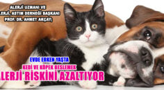 Evcil Hayvan Alerjisi Riskini Azaltıyor!