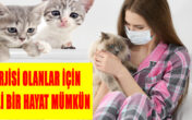 ALERJİSİ OLANLAR İÇİN KEDİLİ BİR HAYAT MÜMKÜN