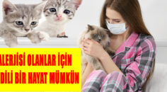 ALERJİSİ OLANLAR İÇİN KEDİLİ BİR HAYAT MÜMKÜN