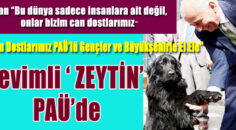 “Can Dostlarımız PAÜ’lü Gençler ve Büyükşehirle El Ele”