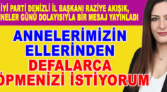 İYİ Parti Denizli il başkanı Raziye Akışık, Anneler Günü