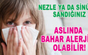 NEZLE YA DA SİNÜZİT SANDIĞINIZ ASLINDA BAHAR ALERJİSİ OLABİLİR!
