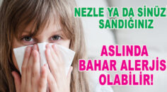 NEZLE YA DA SİNÜZİT SANDIĞINIZ ASLINDA BAHAR ALERJİSİ OLABİLİR!