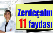 ZERDAÇALIN 11 FAYDASI