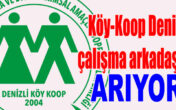Köy-Koop Denizli çalışma arkadaşları arıyor!