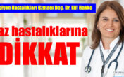 Yaz hastalıklarına DİKKAT