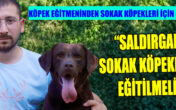 EĞİTMEN KAYRAKÇI “Saldırgan sokak köpekleri eğitilmeli”
