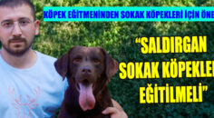 EĞİTMEN KAYRAKÇI “Saldırgan sokak köpekleri eğitilmeli”