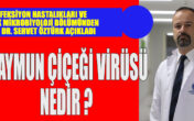 Maymun çiçeği virüsü ile ilgili merak edilenleri