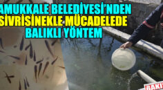 PAMUKKALE BELEDİYESİ’NDEN SİVRİSİNEKLE MÜCADELEDE BALIKLI YÖNTEM