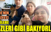 Sude’nin vasiyeti kedilere GÖZLERİ GİBİ BAKIYORLAR