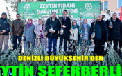 Denizli Büyükşehir’den zeytin seferberliği